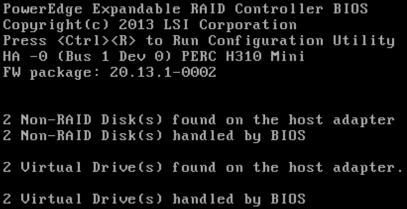 PERC H310 BIOS: 00:01:06 and 00:01:07 list as "2 Non-RAID Disk(s)" during boot.